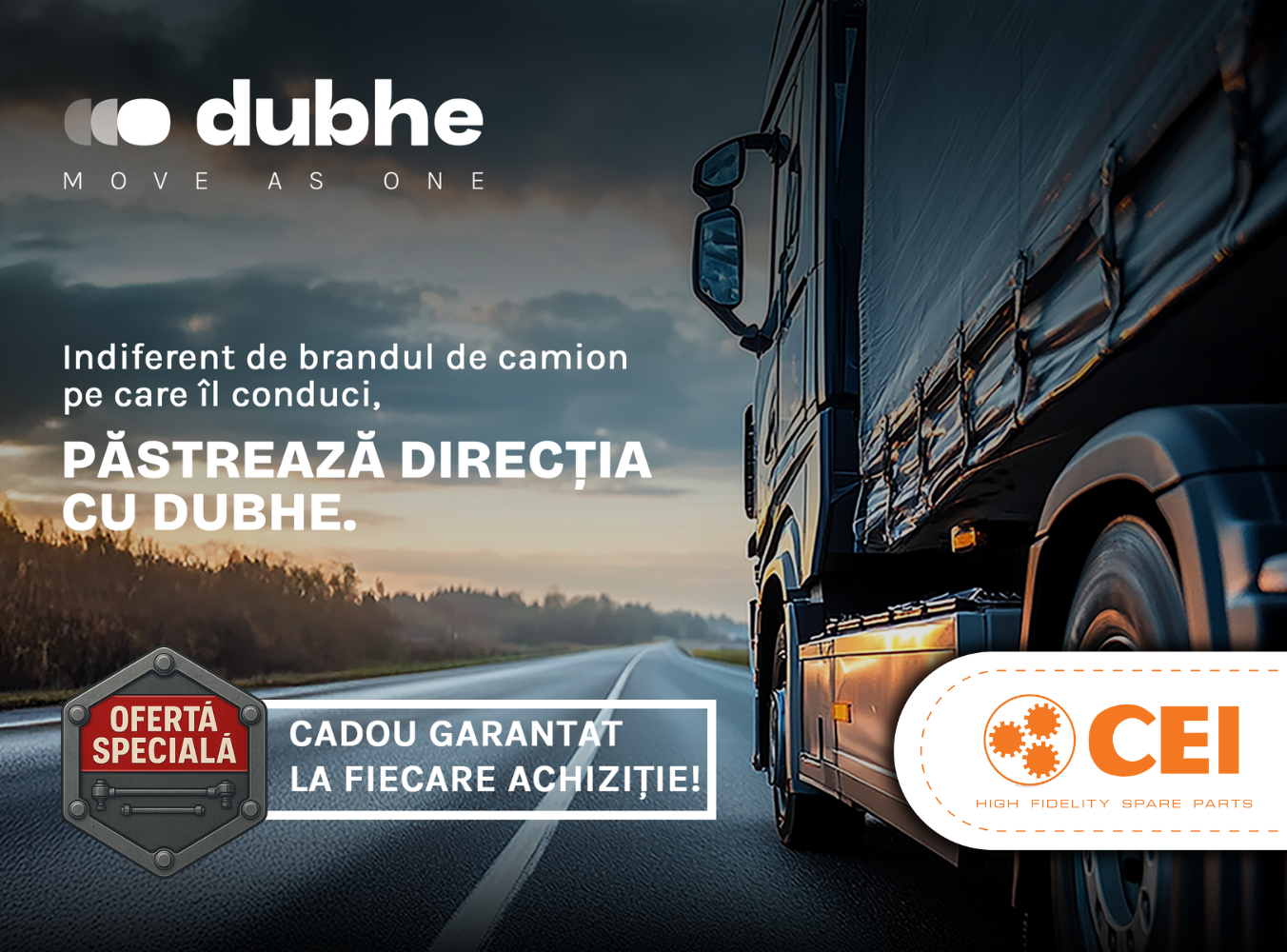 Campanie elemente de direcție CEI